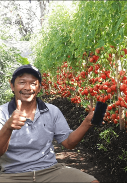 Bp. Sunendar (Lampung Utara)