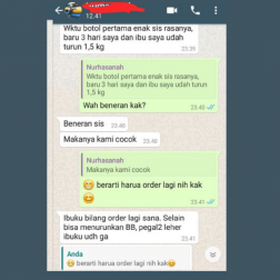 Elfira (Wanita Karir)