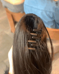 AC098-Wig Ponytail Clip 2