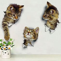 Stiker mobil motor kucing 3D