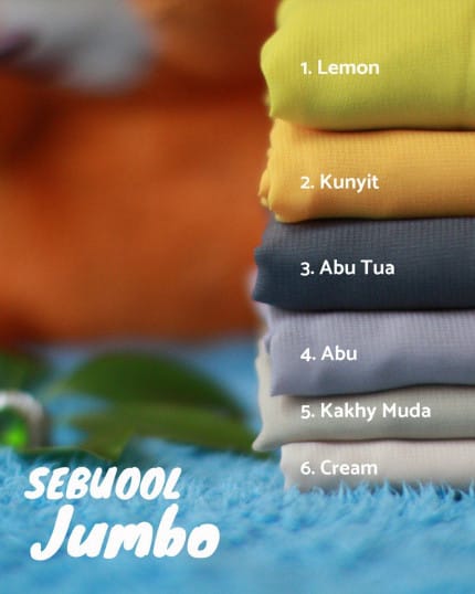 SEBUOOL jumbo (T) logo