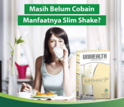 Slim Shake  Palangsing logo