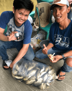 FERDI - BOGOR