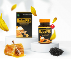 Habspro Asli Original logo