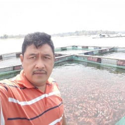 Budi Purnama