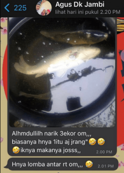Agus - Jambi
