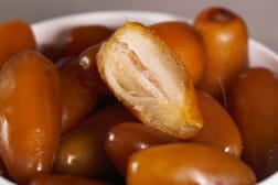 KURMA RUTHOB RAYAN