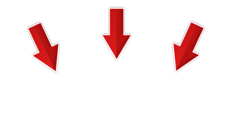 Formulir Ambeno Tiktok (ANIN) logo