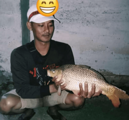 Arif - Lampung