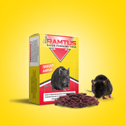 Ramtus 12 Pack logo