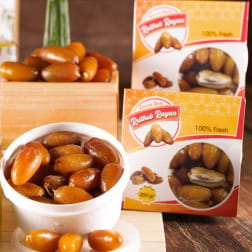 KURMA RUTHOB RAYAN
