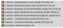 Video Fundamental FB Ads