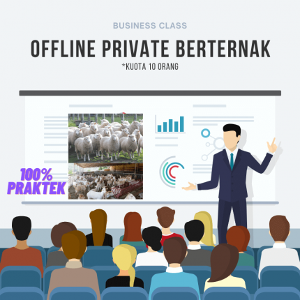 KELAS BERTERNAK KAMBING DAN DOMBA UNGGULAN + FREE SERTIFIKAT + 12 EBOOK LENGKAP BERTERNAK