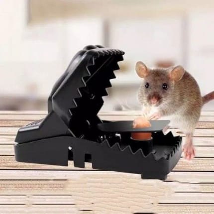 Perangkap Tikus