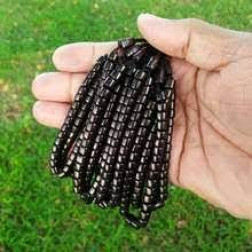 GELANG KOKKA ORIGINAL