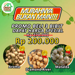 Promo Murah Bukan Main Bibit Buah Lengkeng logo