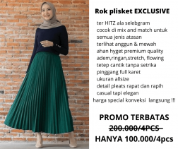 ROK PLISKET EXCLUSIVE PREMIUM logo