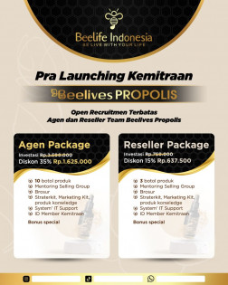 BeeLives Nano Propolis logo