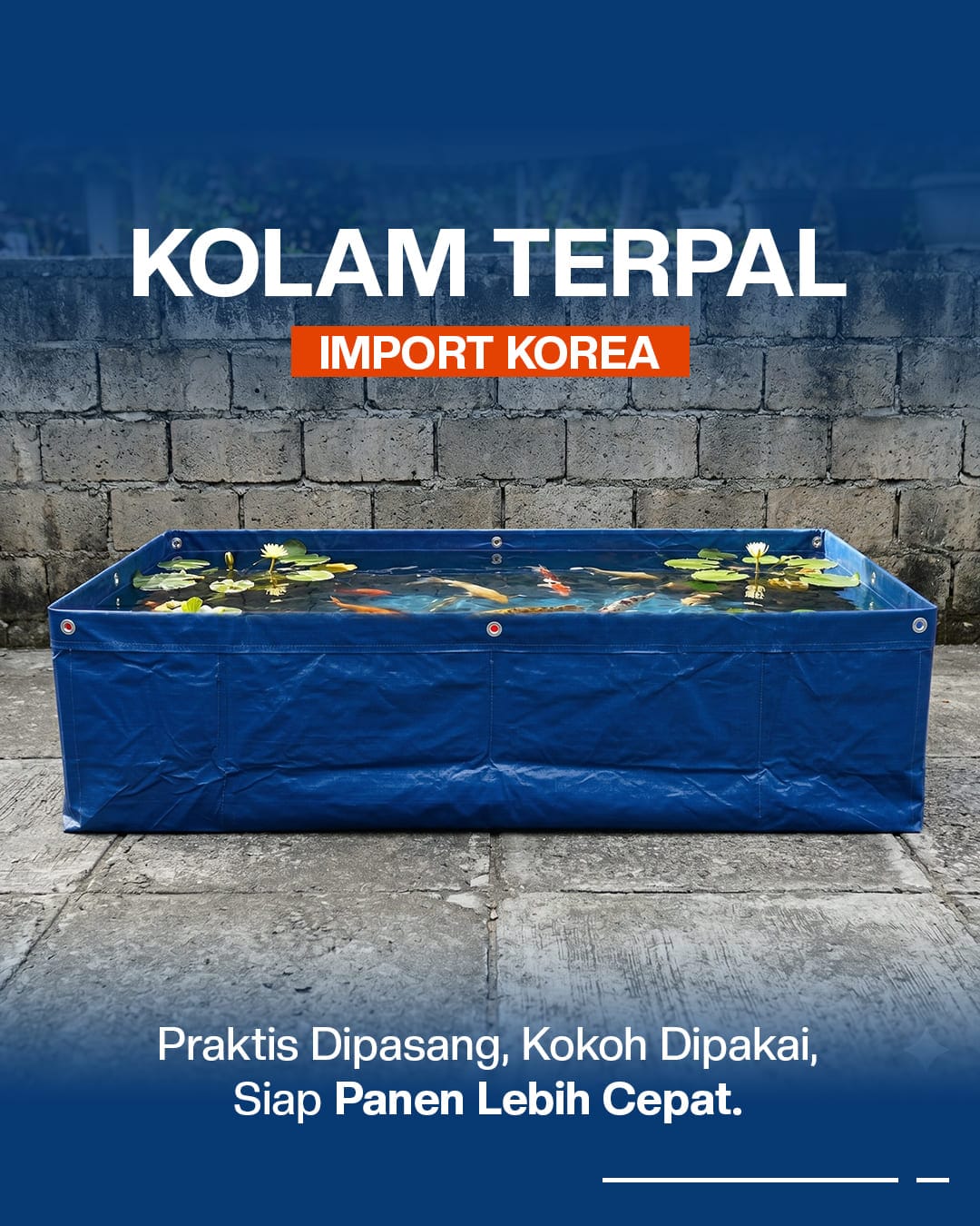 Kolam Terpal Import Korea Budidaya Ikan logo