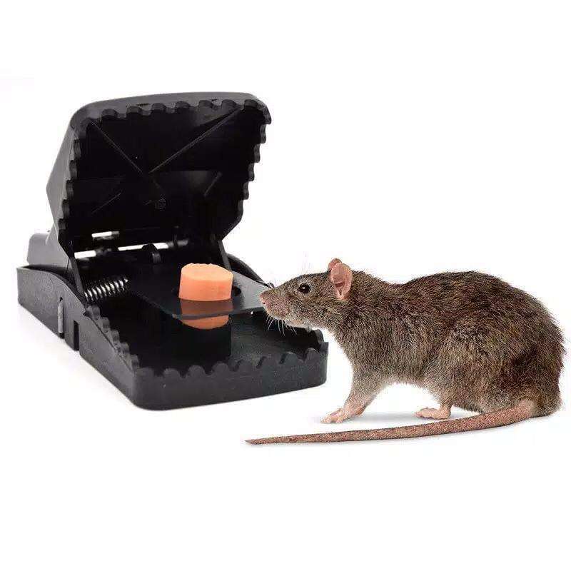 PENANGKAP TIKUS ANTI RIBET ⚡ logo