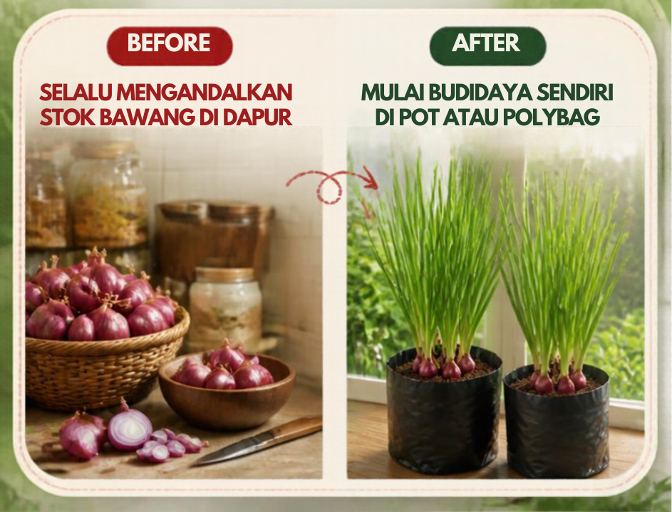GROWION (Benih Bawang Merah Lokananta) logo