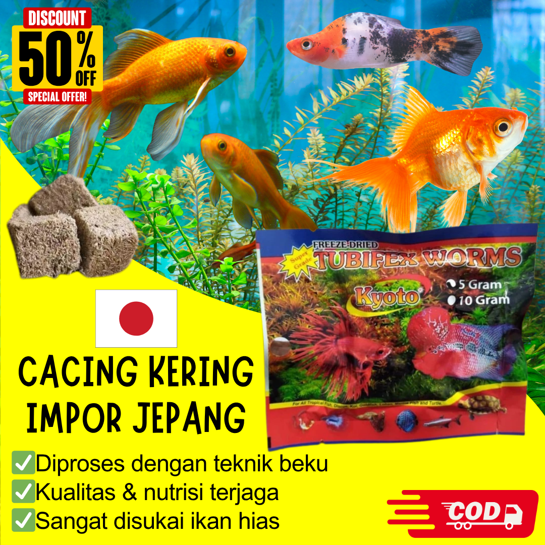 TUBIFEX WORM KYOTO - KN logo