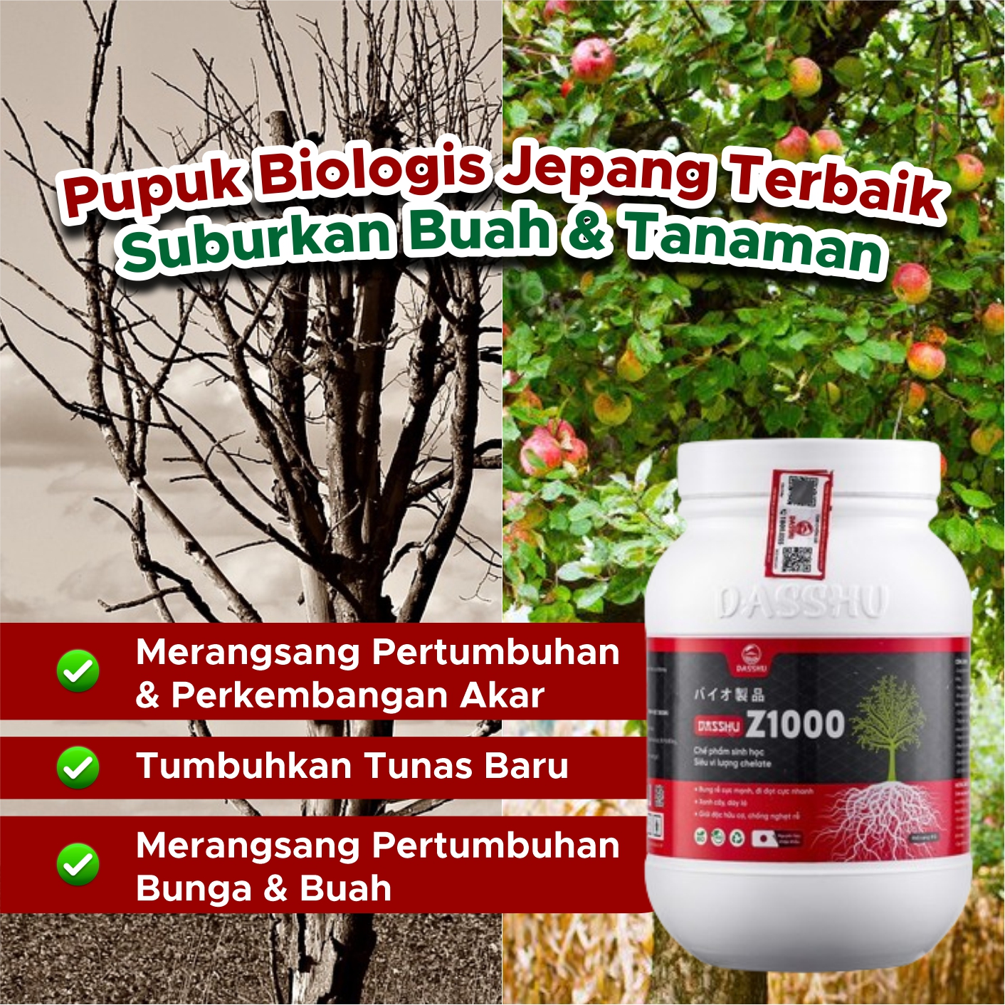 Pupuk Biologis Dashu Z1000 E logo
