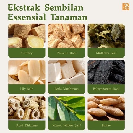Teh Herbal 9 Bahan Alami SA