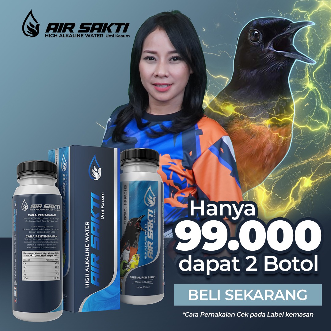 AIR SAKTI FP logo