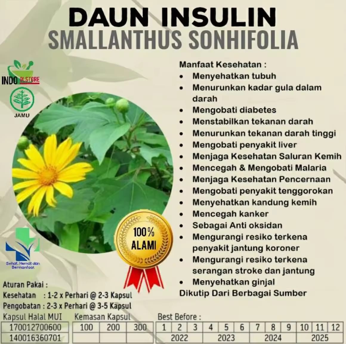 Promo Kapsul Daun Insulin logo