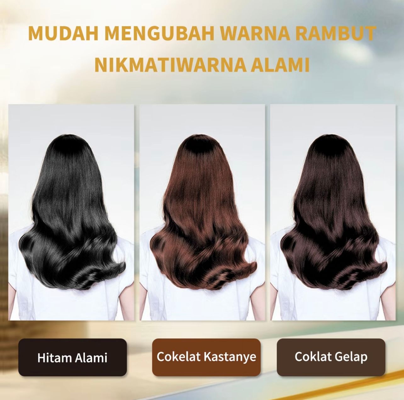 Semir Rambut 3 in 1