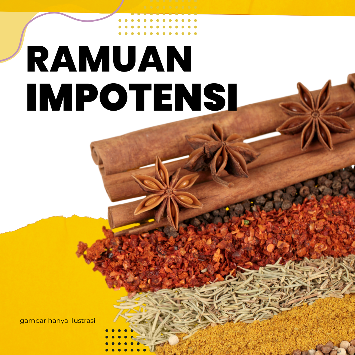 Ramuan Impotensi pakarvitalitas.com logo