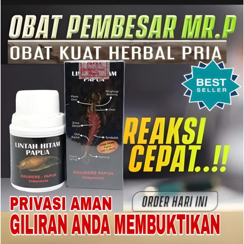 MINYAK LINTAH HITAM PAPUA BELI 1 GRATIS 1 logo