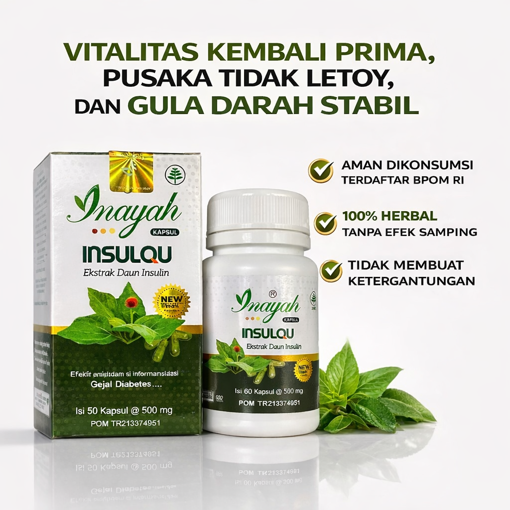 201 KAPSUL INSULQU ORIGINAL logo