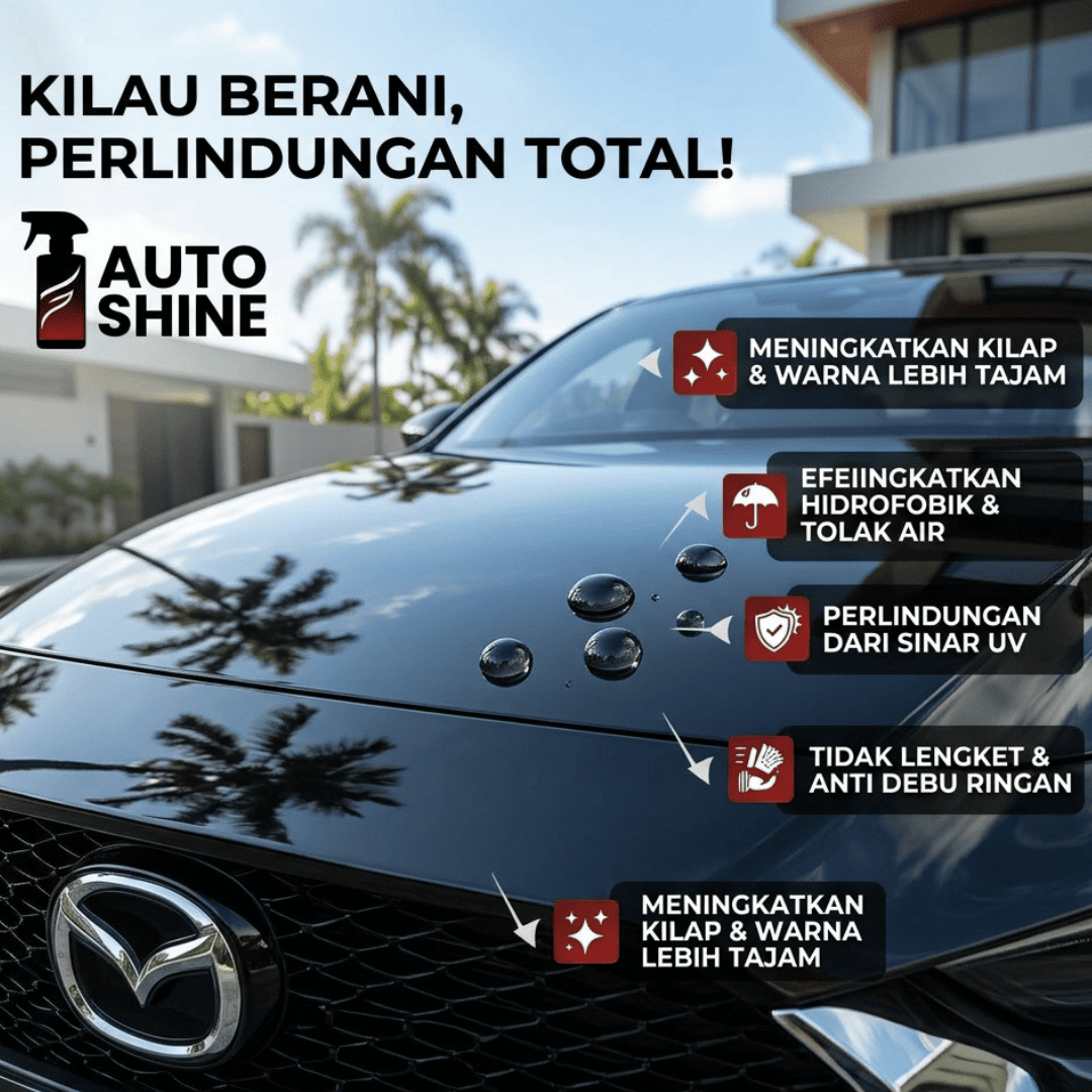 Max Auto Shine