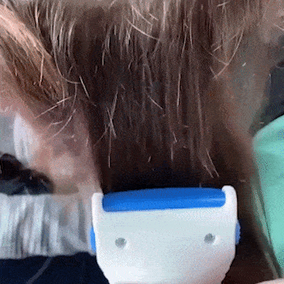 Sisir Kutu Listrik logo