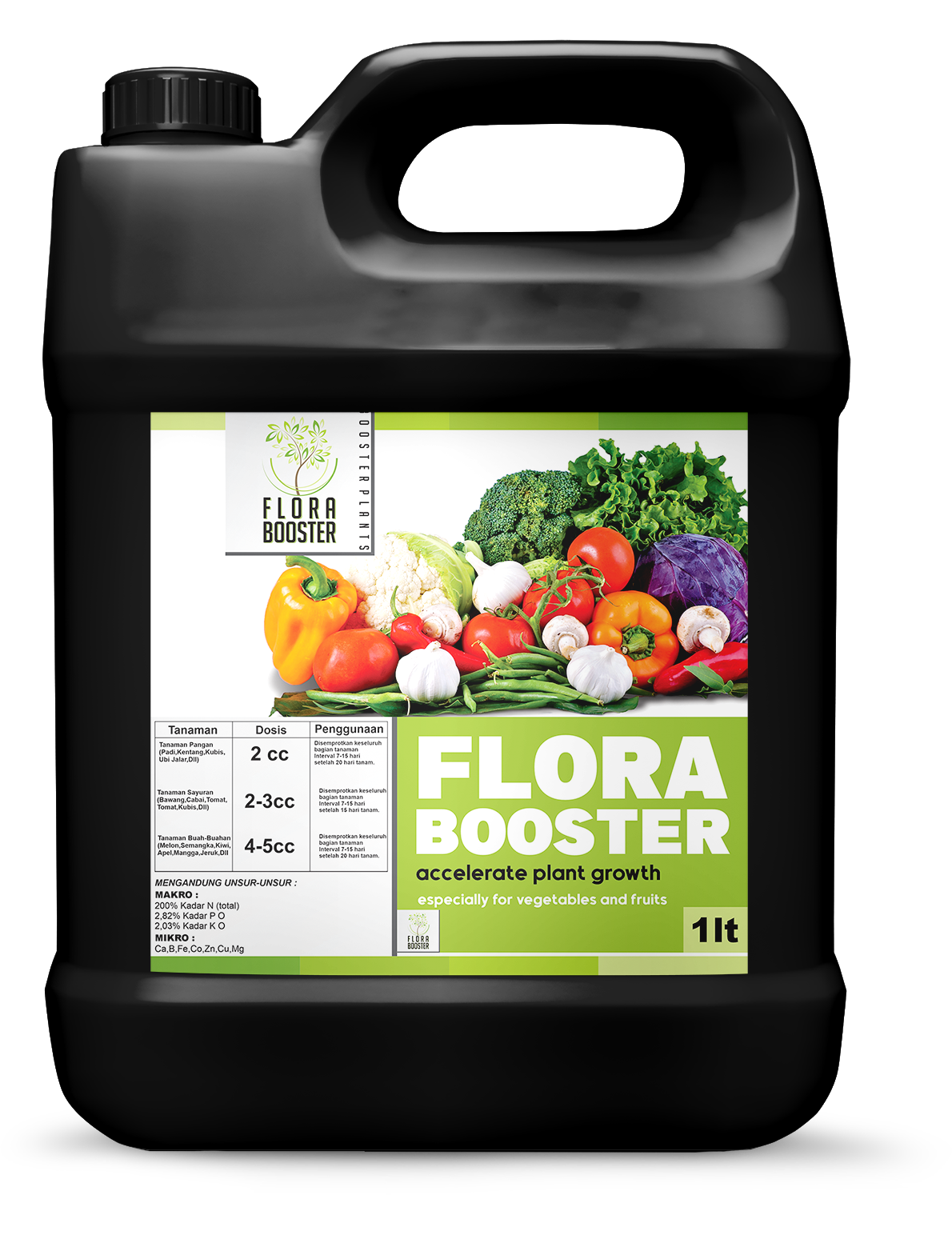 FLORA BOOSTER  V1-1 logo