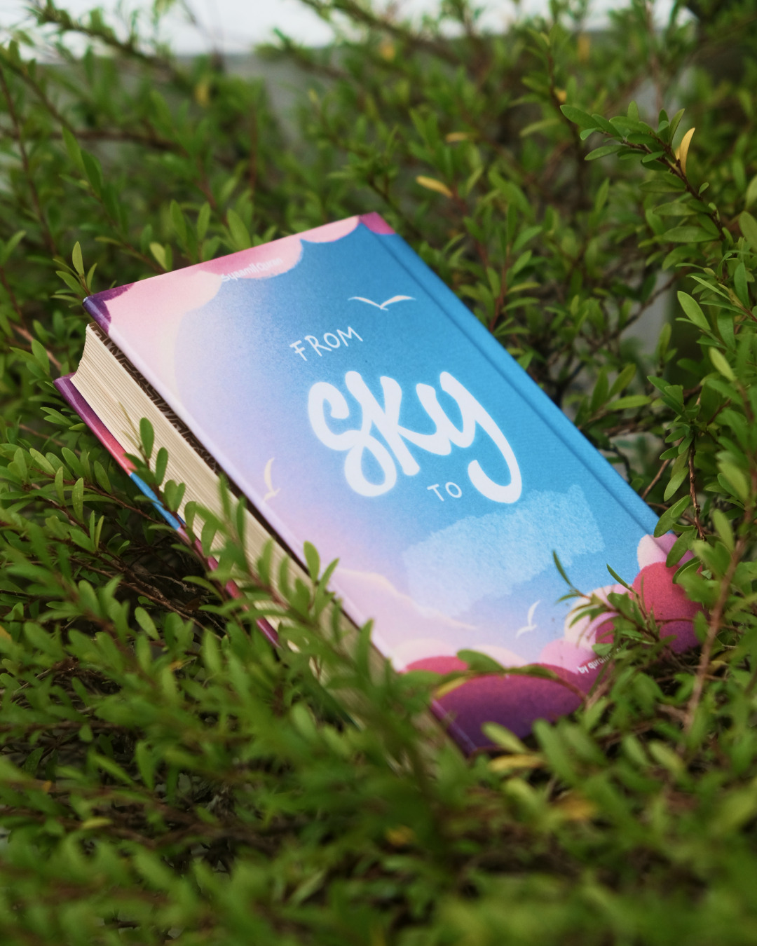 Mushaf From Sky to