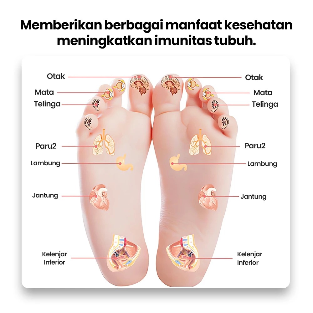 papan akupresur plantar tikar pijat kaki YP