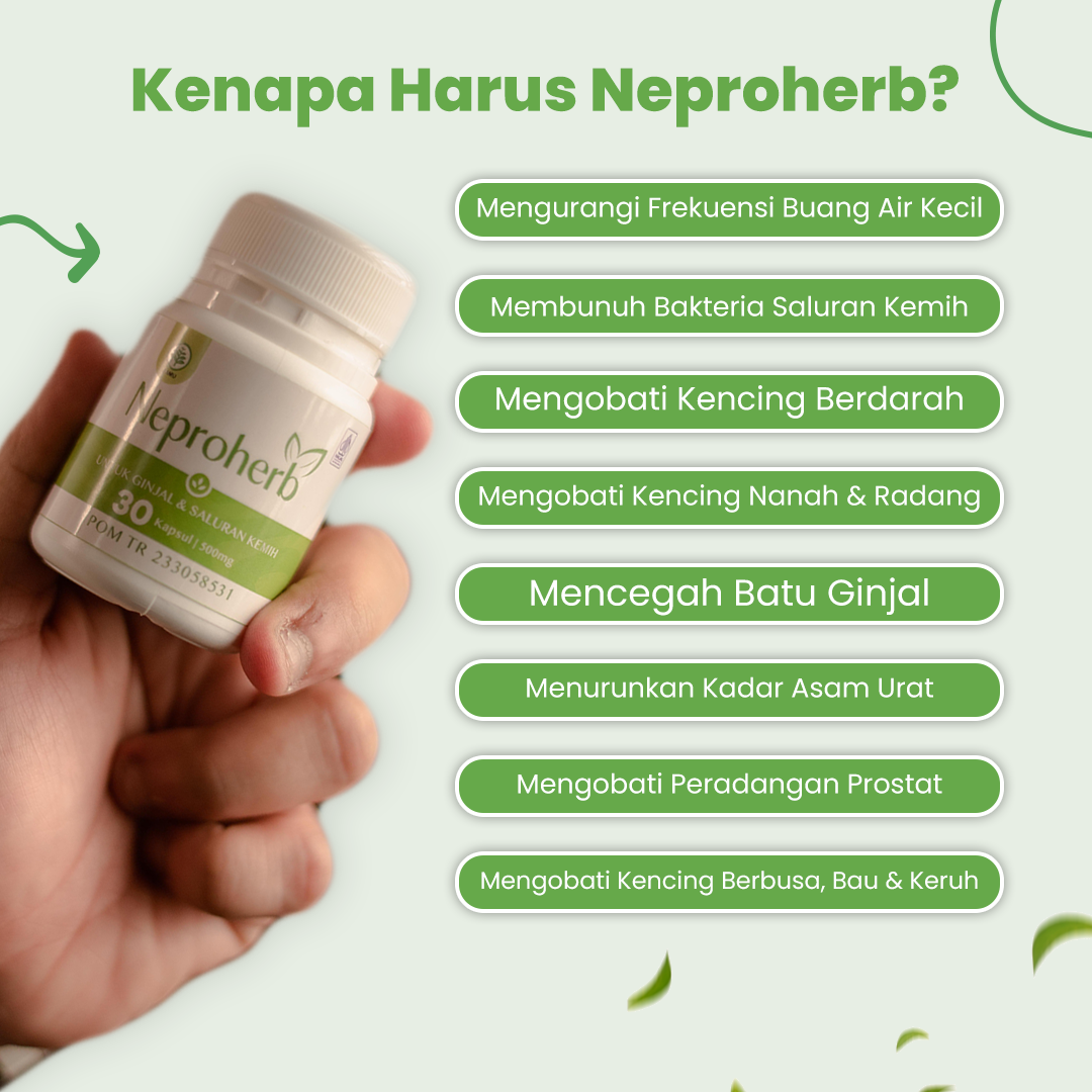 NEPROHERB : UNTUK BATU GINJAL DAN SALURAN KENCING (A)