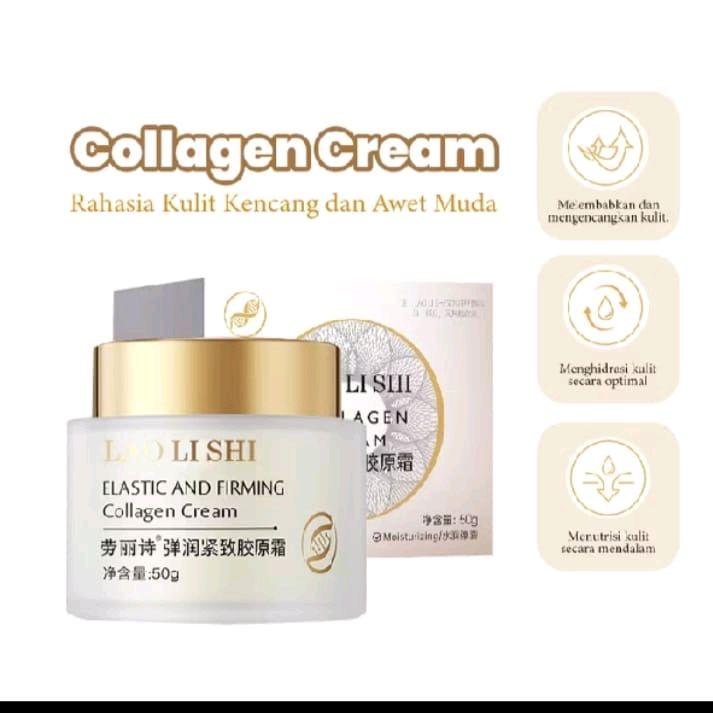 LAO LU SHI BPOM- DSI logo