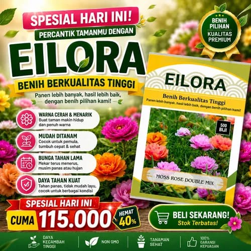 Promo Diskon