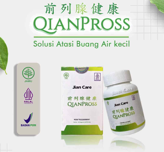 (B2) Jiancare QIANPROSS G logo