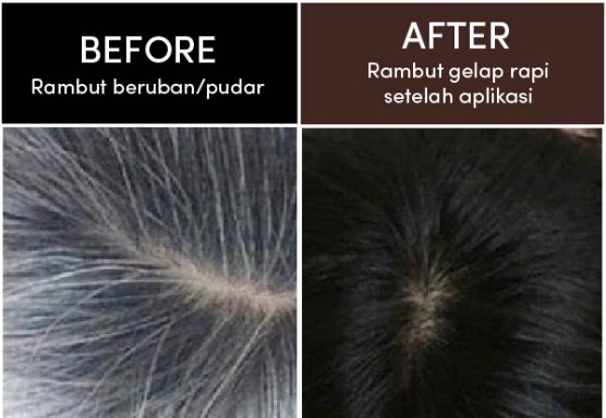 FRUITYCOLOR (Pewarna Rambut Dengan Sisir Krim Pewarna Rambut) logo