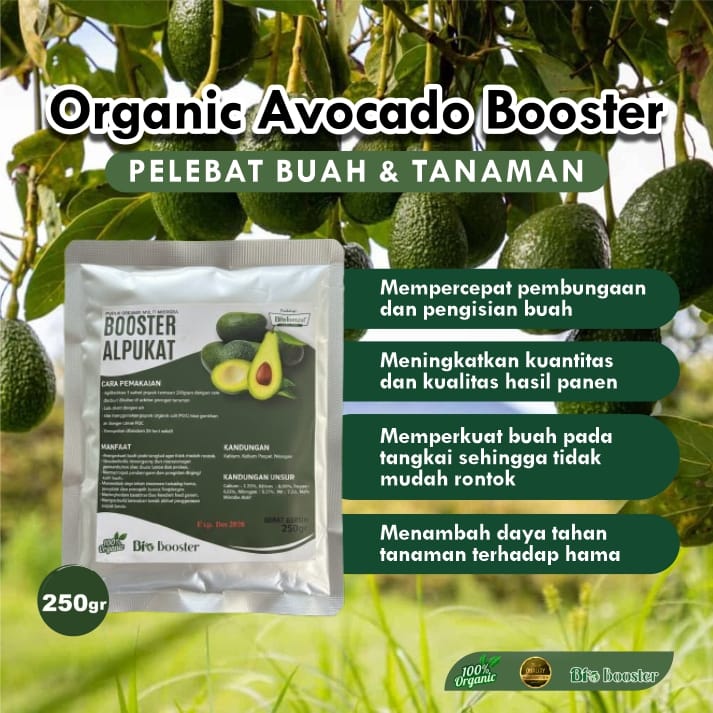 Booster Alpukat Organic GG logo