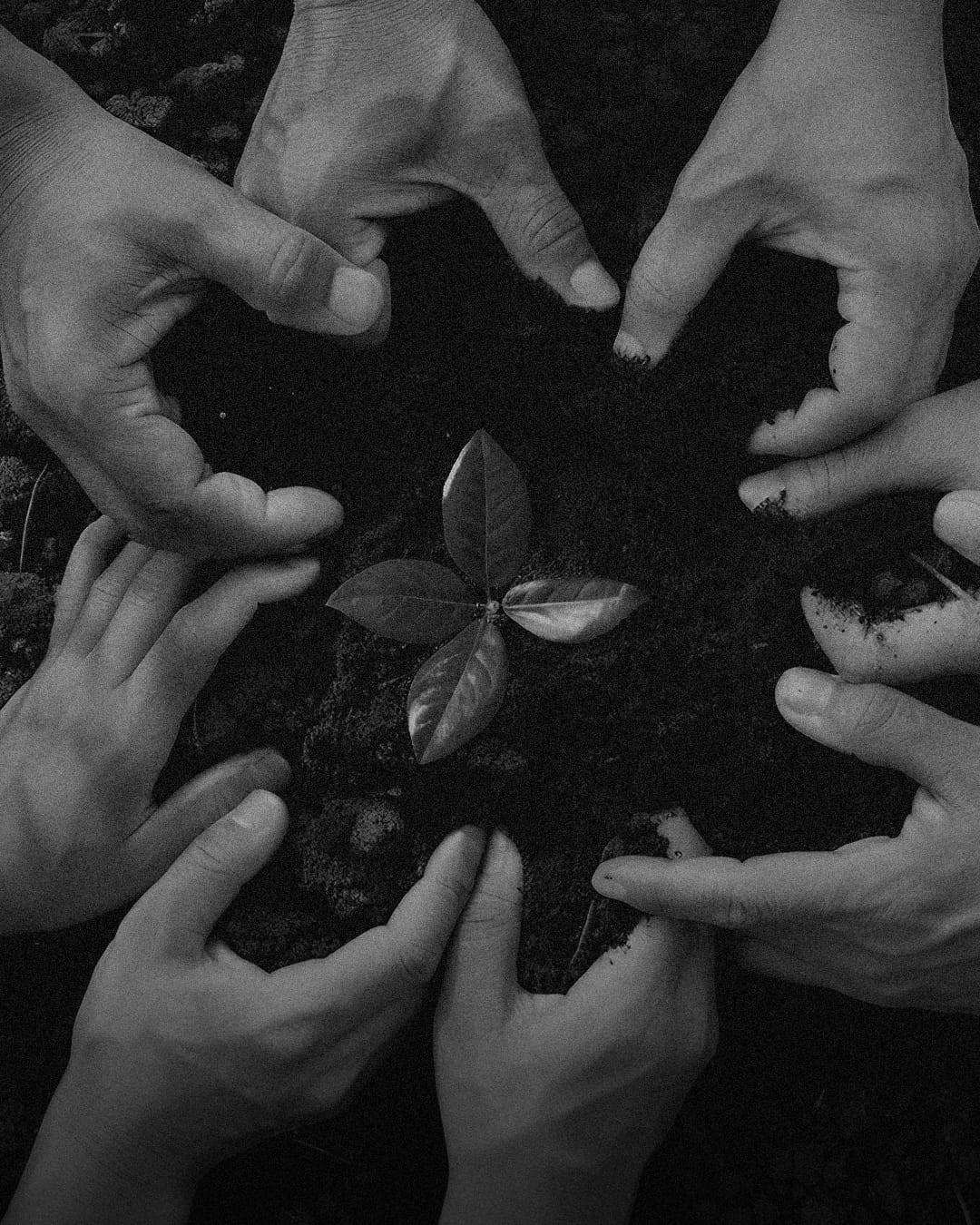 LOVE - COMMUNITY COLLECTIVE logo