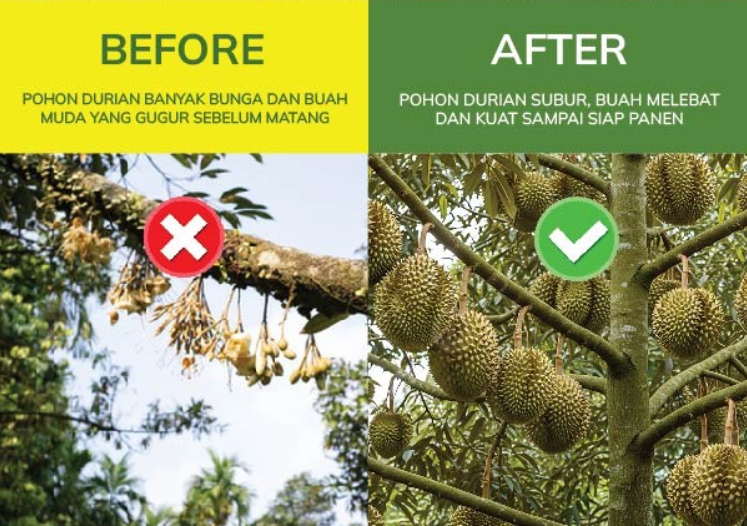 DURIAMAX (Pupuk Durian Booster) logo