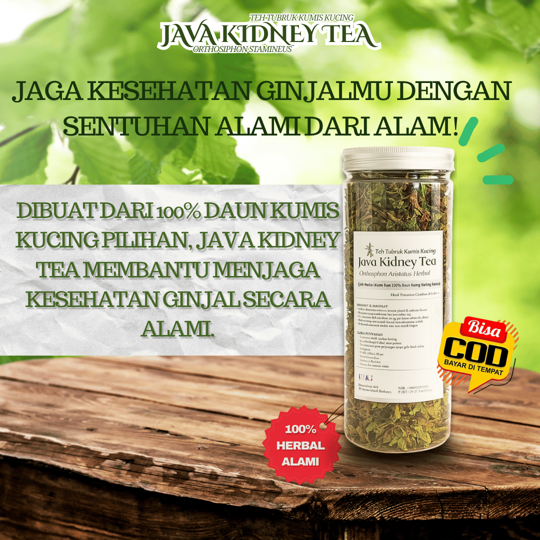 Teh Pemecah Batu Ginjal Kumis Kucing Orthosiphon Stamineus Java Kidney Tea