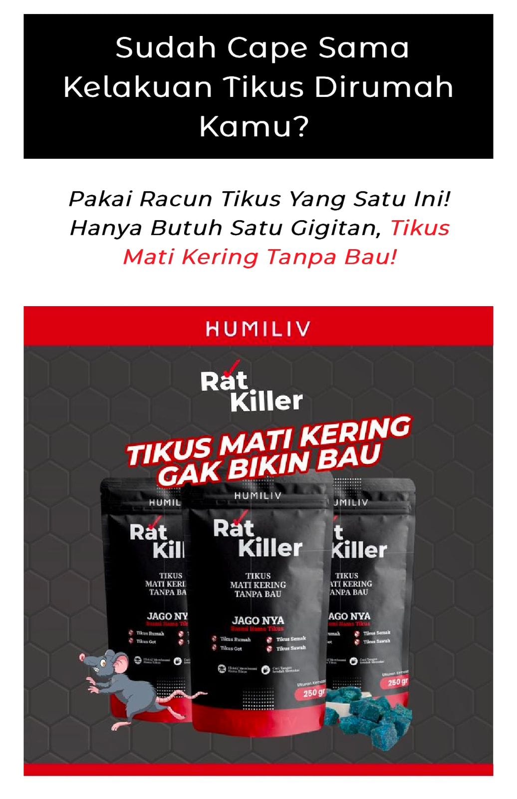 rat killer pembasmi tikus logo