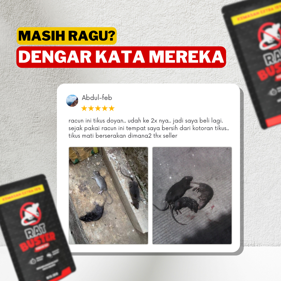 PROMO HARGA SPESIAL 3 Pcs 100gr Racun TIkus RATBUSTER Gratis Sarung Tangan Latex dan Wadah Umpan